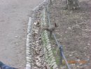 Даниил Крылов фотография #18 (источник - https://vk.com/id1239205)