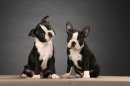 Фотография Леготиной Елены