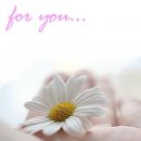 No Name фотография #10 (источник - https://vk.com/id5486905)