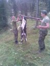 Дмитрий Костылев фотография #16 (источник - https://vk.com/id1182263)