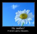 Лєра Лєрочка фотография #16 (источник - https://vk.com/id58026918)