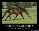 Оксана Плотникова фотография #44 (источник - https://vk.com/id31933543)