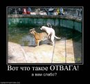 Павло Єремичук фотография #25 (источник - https://vk.com/id19558480)