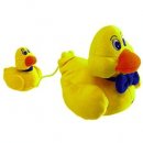 Фотография Колодяжной Анны