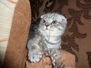 Шевчук Сергій фотография #20 (источник - https://vk.com/id20495548)