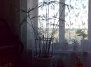 Юрий Ілінский фотография #7 (источник - https://vk.com/id159513389)
