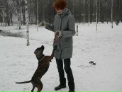 Фотография Декабрь Жени