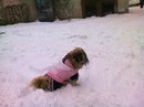 Мар'яна Гусєва фотография #4 (источник - https://vk.com/id156871359)