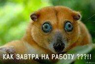 Сергій Рибак фотография #41 (источник - https://vk.com/id45780929)