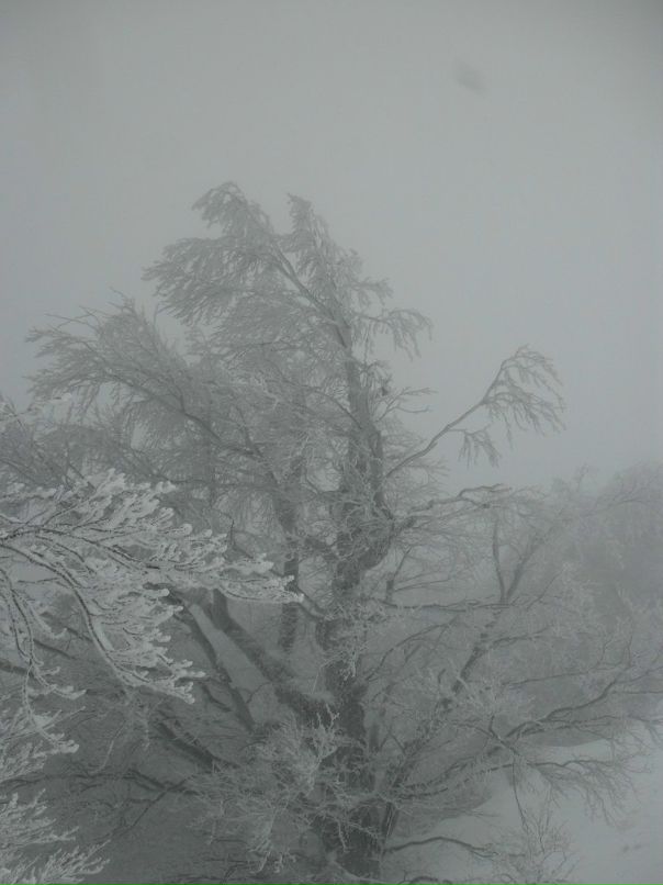 Дмитрий Журба фотография #33