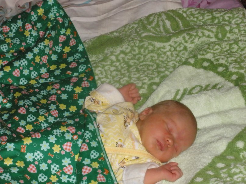 Виктория Кошеленко фотография #29