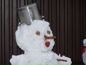 Фотография Minsk Carmel