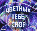 Сніжанка Петрова фотография #8 (источник - https://vk.com/id160486071)