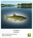 Віктор Камлук фотография #7 (источник - https://vk.com/id162080953)