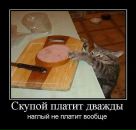 Фотография Дольского Сергея