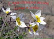 Фотография Прокопова Александра