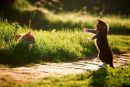 Фотография Камиль Кедр