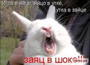 Анька Крайниківська фотография #25 (источник - https://vk.com/id167959300)