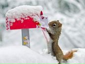 Фотография Сергеева Александра