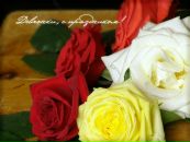 Виктор Овечкин фотография #48 (источник - https://vk.com/id1625663)