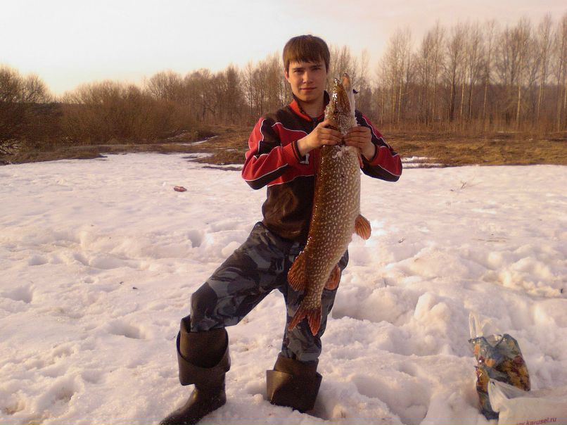 Павел Гаряев фотография #18