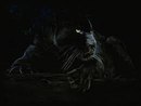 Ліля Горобець фотография #32 (источник - https://vk.com/id151698165)