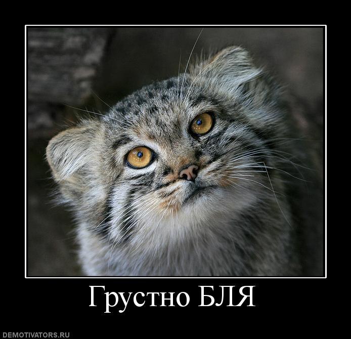 Игорь Будник фотография #31