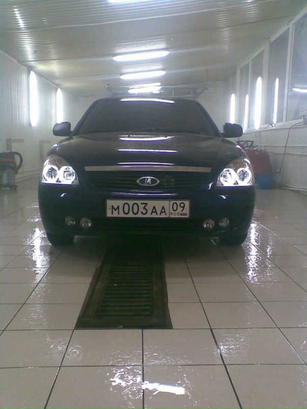 Black Wolf фотография #13