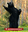 Фотография Потапова Александра