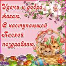 Діана Жданова фотография #15 (источник - https://vk.com/id168576607)