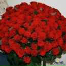 Вітуся Савчук фотография #16 (источник - https://vk.com/id208199339)