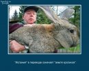 Діма Остапишин фотография #50 (источник - https://vk.com/id26627804)