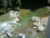 Марта Білоус фотография #30 (источник - https://vk.com/id39908495)