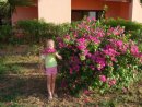 Утюсічка Сонечко фотография #8 (источник - https://vk.com/id33208820)