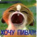 Саша Підлужний фотография #25 (источник - https://vk.com/id234734663)