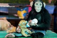 Фотография Знаешевой Иры