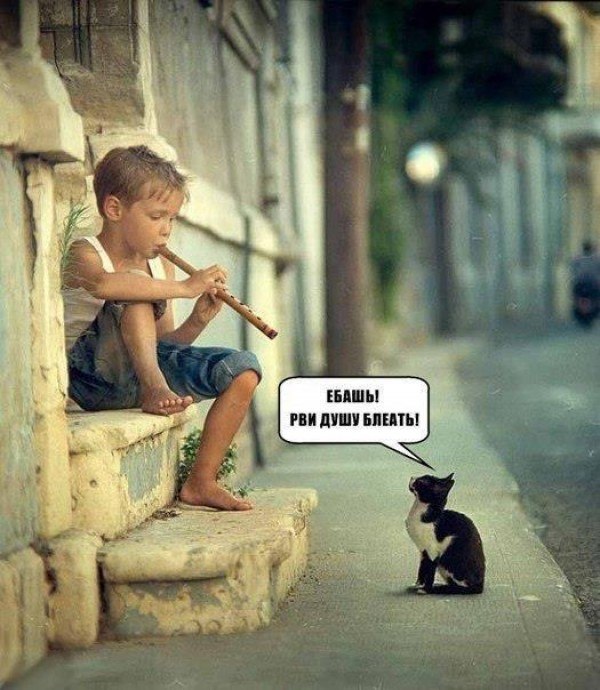 Фарик Гафуров фотография #45