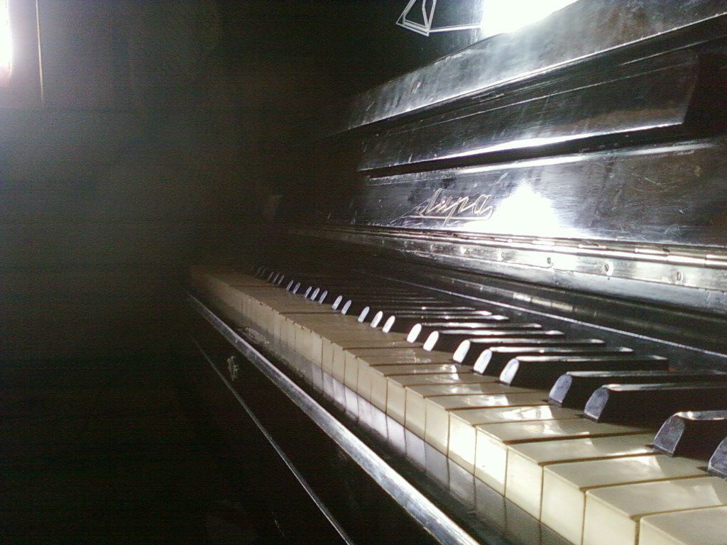 Дмитрий Мальцев фотография #35