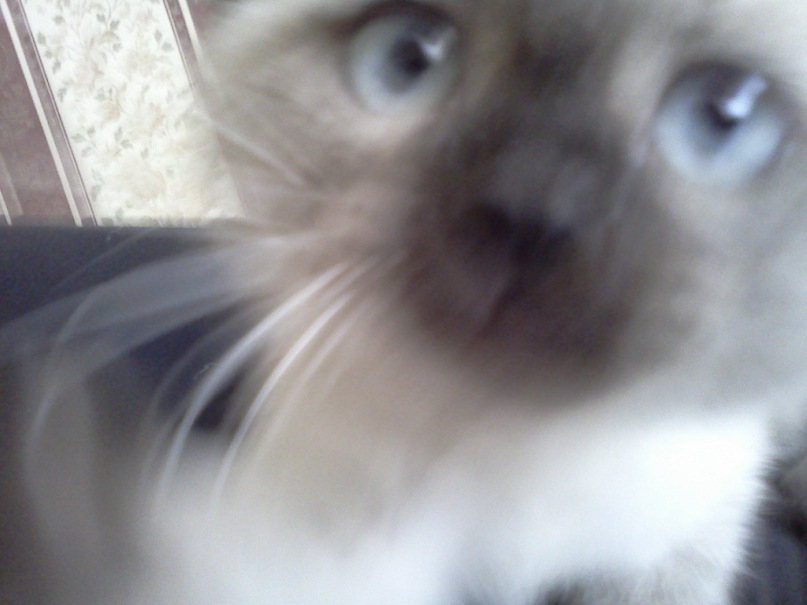 Марк Перовский фотография #12