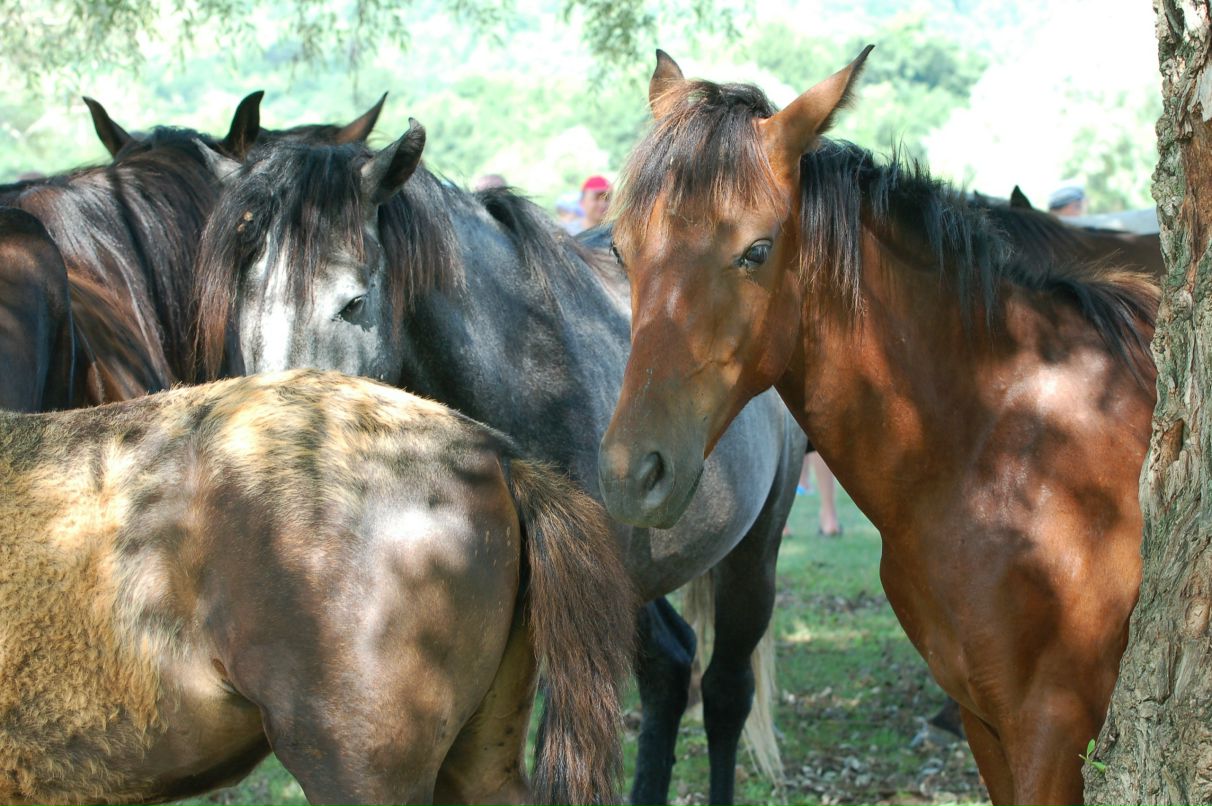 Катя Радченко фотография #48