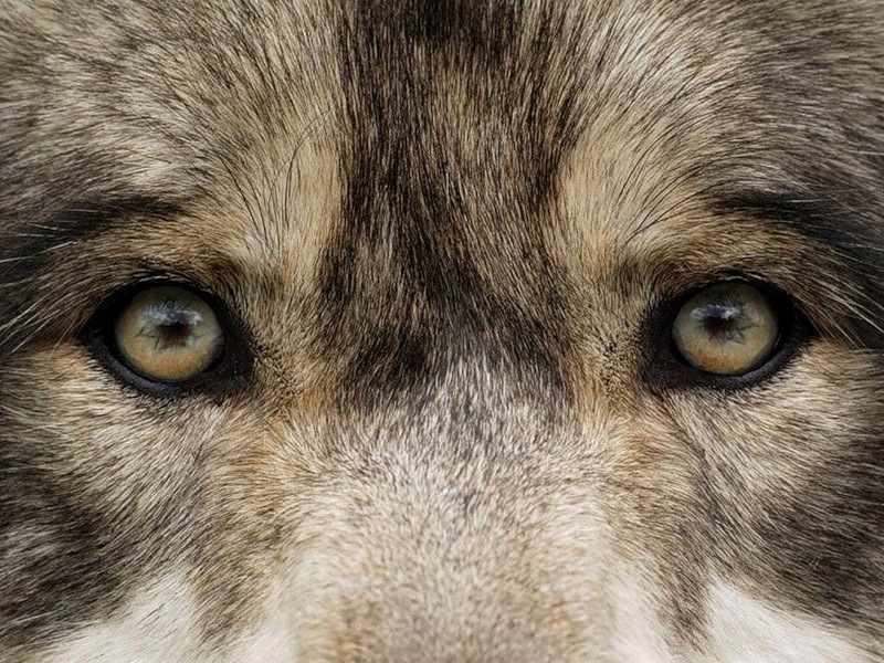 Денис Мельников фотография #16