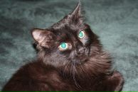 Фотография Подмарковой Екатерины