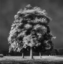 Міша Костик фотография #49 (источник - https://vk.com/id15137294)