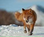 Фотография Egorov Илюхи