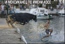 Міхал Галапац фотография #37 (источник - https://vk.com/id30892566)