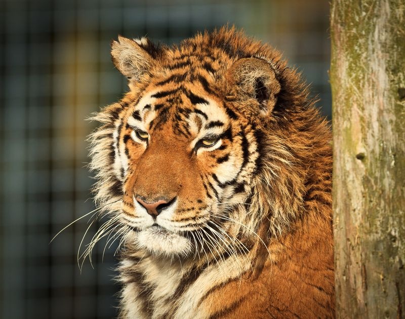 Игорь Bazz фотография #13