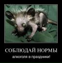 Фотография Кравчука Станислава