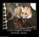 Леня Достоєвський фотография #42 (источник - https://vk.com/id5133579)