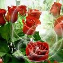 Тетяна Маліновська фотография #20 (источник - https://vk.com/id132834991)