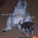 Сергей Фурсов фотография #30 (источник - https://vk.com/id1421435)